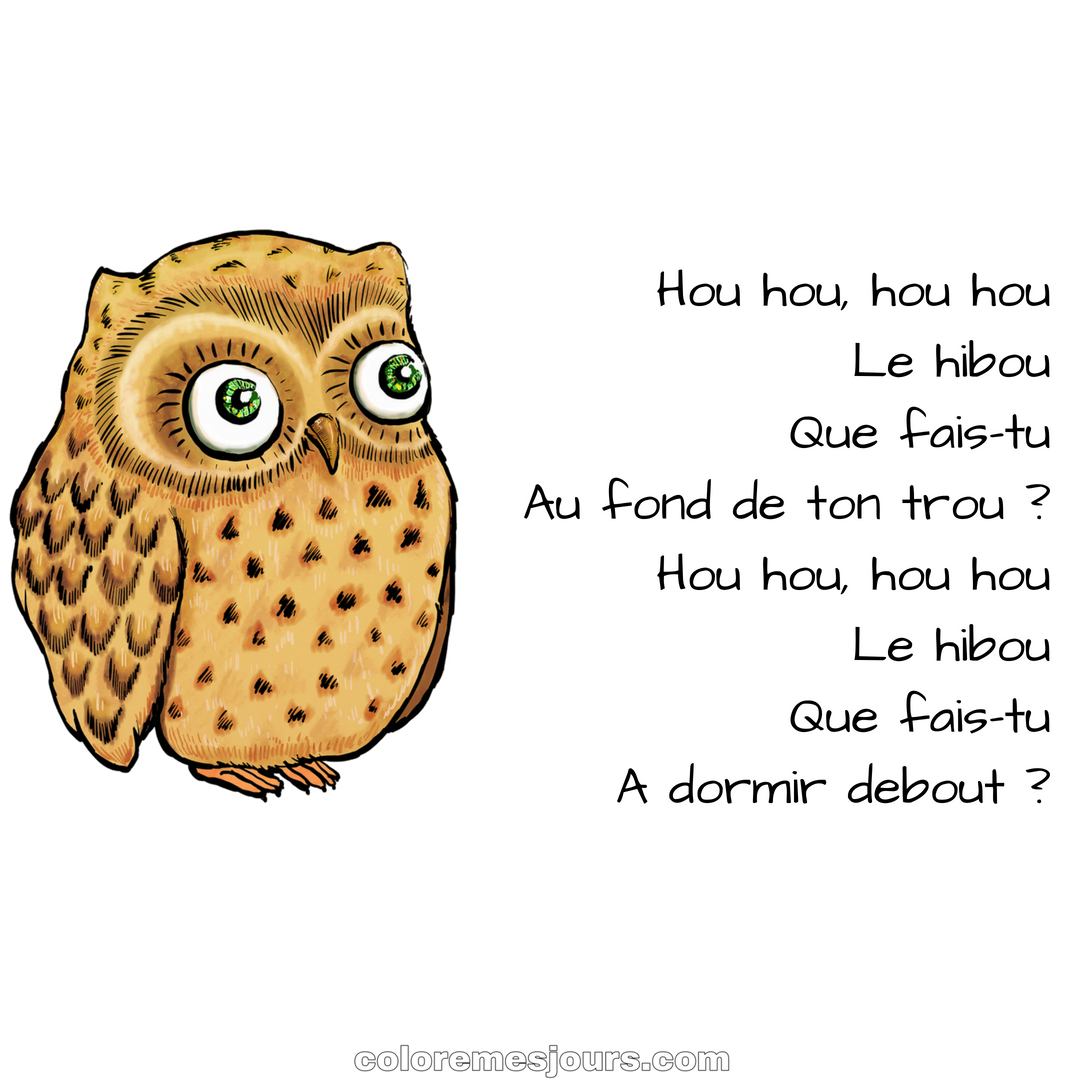 Hou hou le hibou – Anny et Jean-Marc Versini